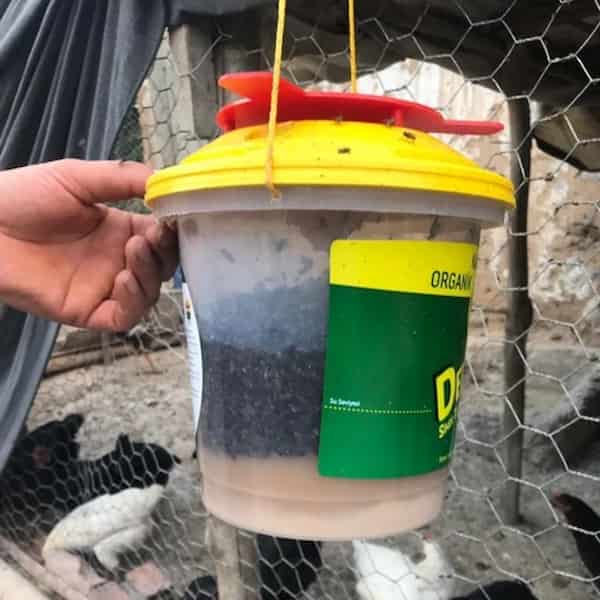 تصویر 2 از فروش تله سطلی مگس با پودر جاذب + قیمت خرید به صرفه